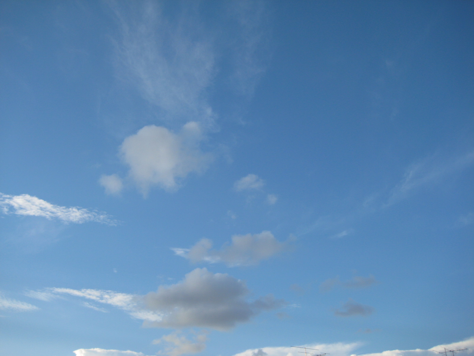 e0199046_192751.jpg
