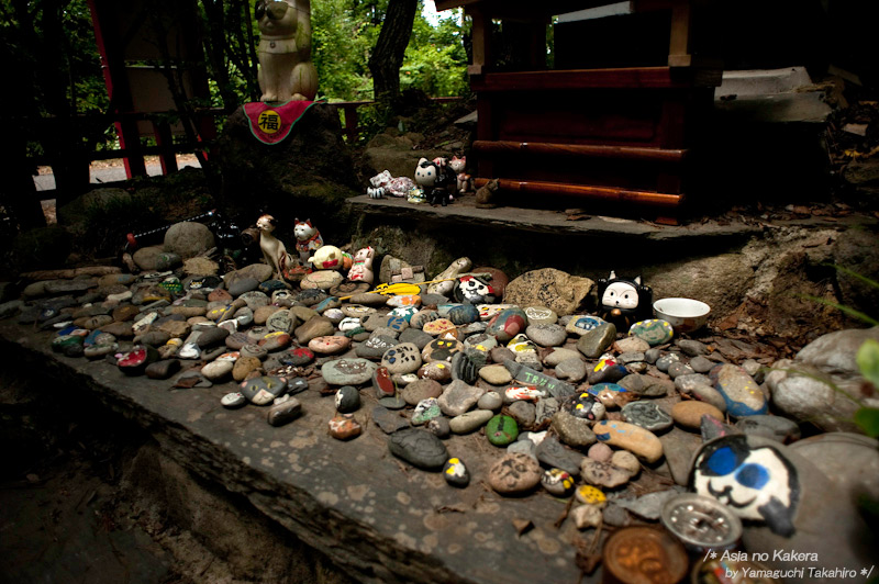 d0080957_21563373.jpg