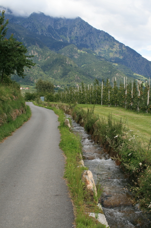 f0077159_21272416.jpg