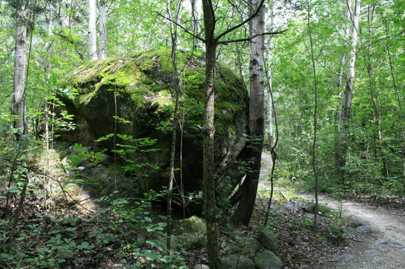 f0077159_21273100.jpg