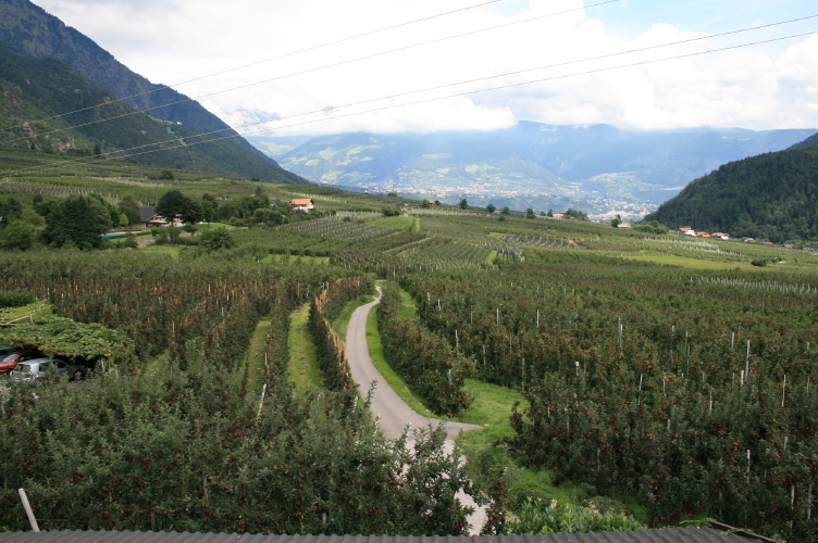 f0077159_21273770.jpg