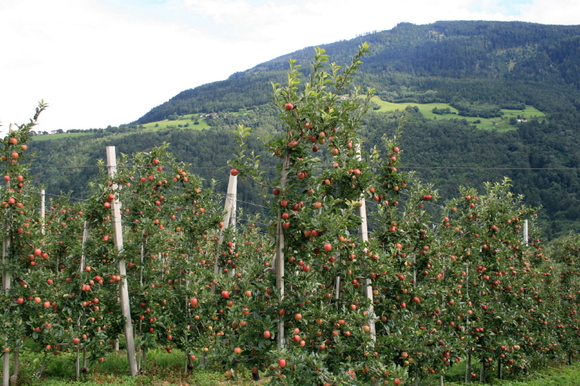 f0077159_2132164.jpg