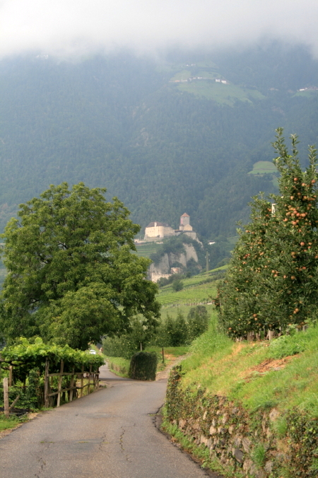 f0077159_21504100.jpg