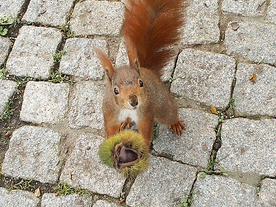 f0205962_328324.jpg