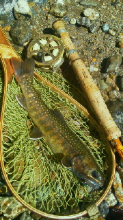 f0224363_19115348.jpg