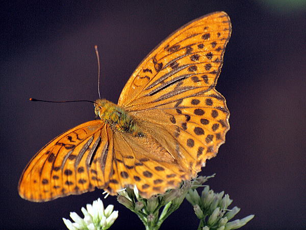 f0215964_17364913.jpg