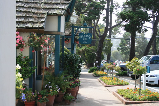 c0115366_1583316.jpg