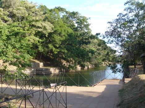 d0108969_17374376.jpg