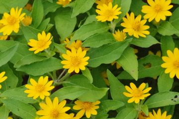 f0054677_6412079.jpg
