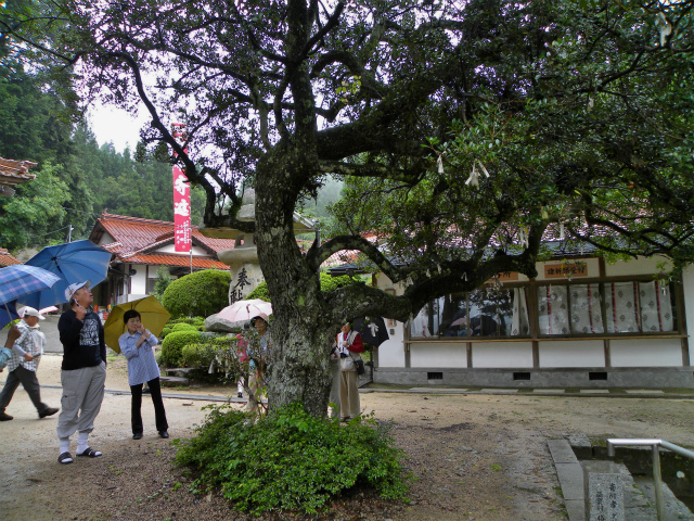 d0245378_7461218.jpg