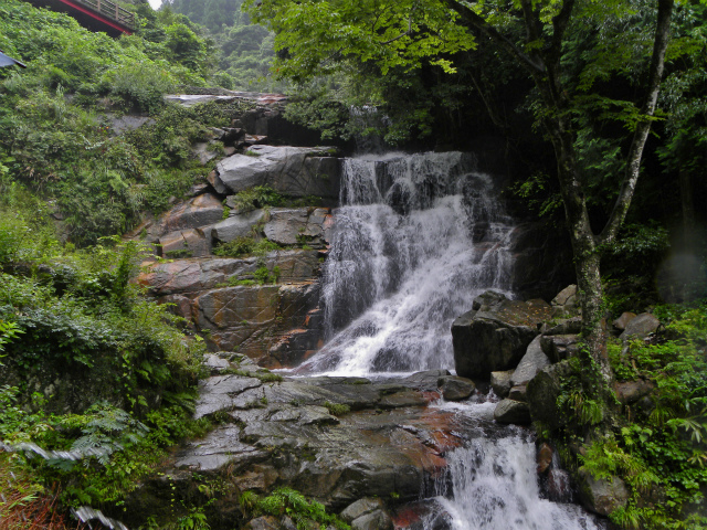 d0245378_784950.jpg