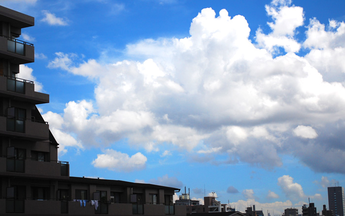 c0009981_13392535.jpg
