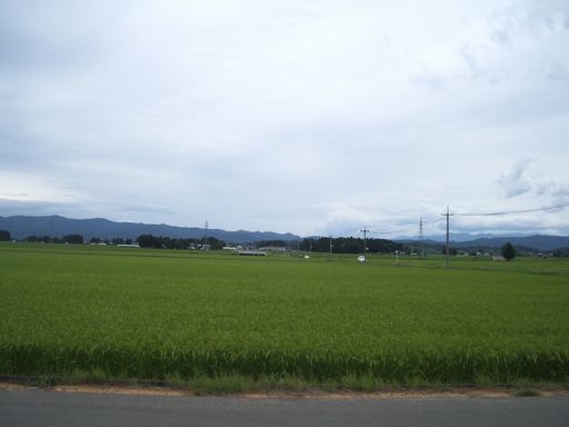 c0144683_9543698.jpg