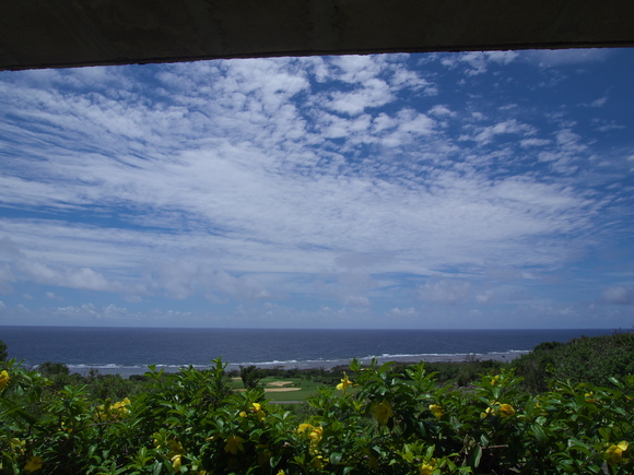 d0251583_1416497.jpg