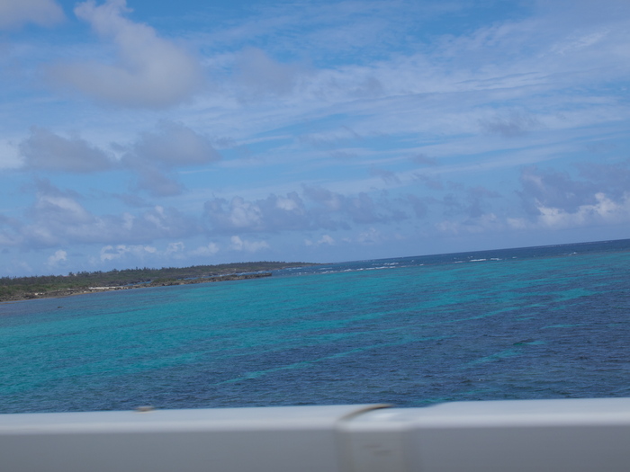 d0251583_15325090.jpg