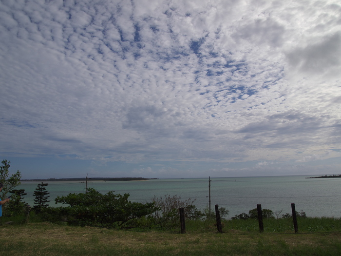 d0251583_15423593.jpg