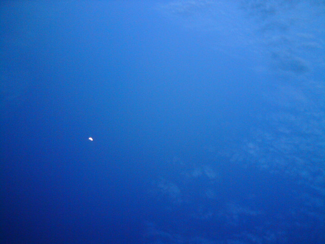 c0122788_1835349.jpg