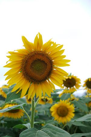a0091891_22201230.jpg