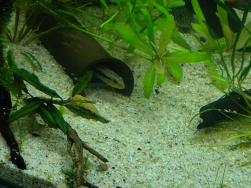 f0138093_815842.jpg