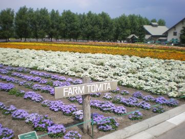 f0175499_157088.jpg