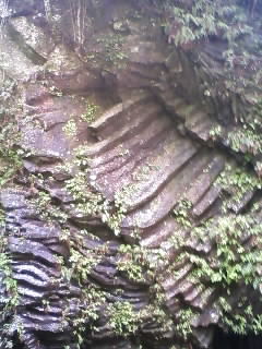 e0159905_20224241.jpg