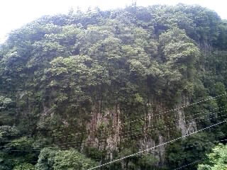 e0159905_2023768.jpg