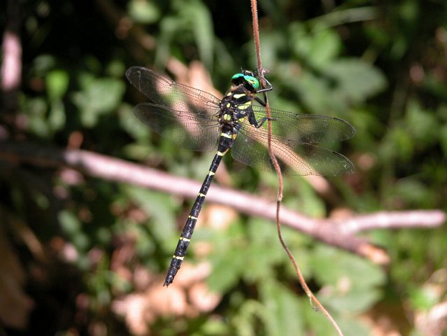 f0167905_1541342.jpg