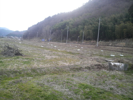 e0168109_2232016.jpg