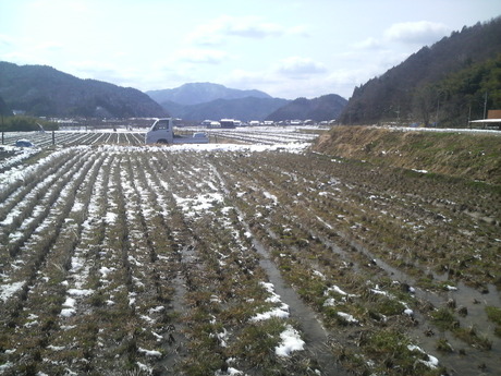 e0168109_2245176.jpg