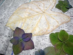 c0190010_2116535.jpg