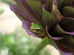 c0190010_21292044.jpg