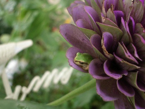 c0190010_21293380.jpg