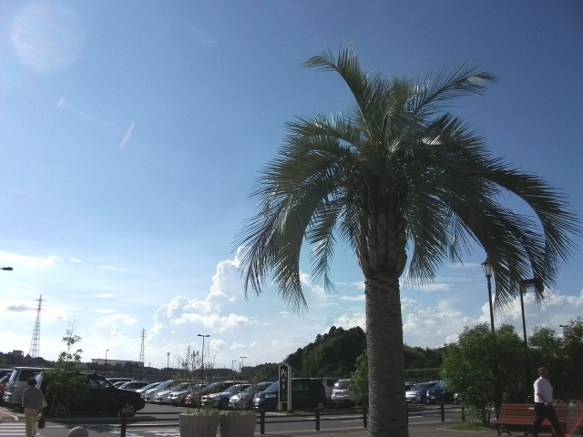 d0197317_12141785.jpg