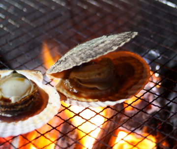 f0235919_143732.jpg