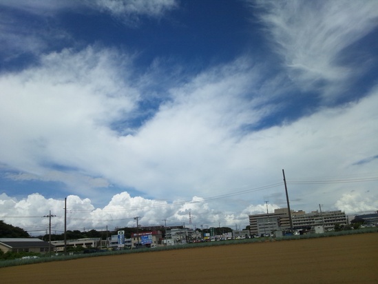 c0150520_2293025.jpg