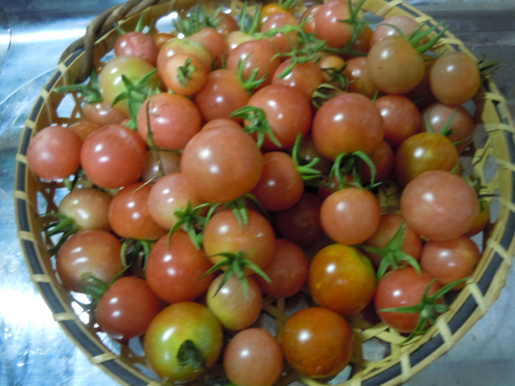 b0157528_20580100.jpg