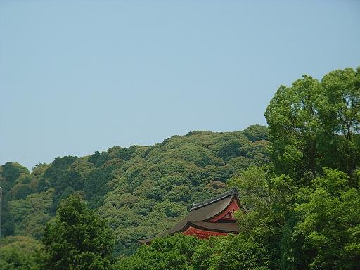 a0206332_8143086.jpg