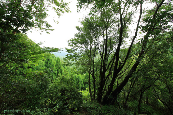 e0083238_2201455.jpg