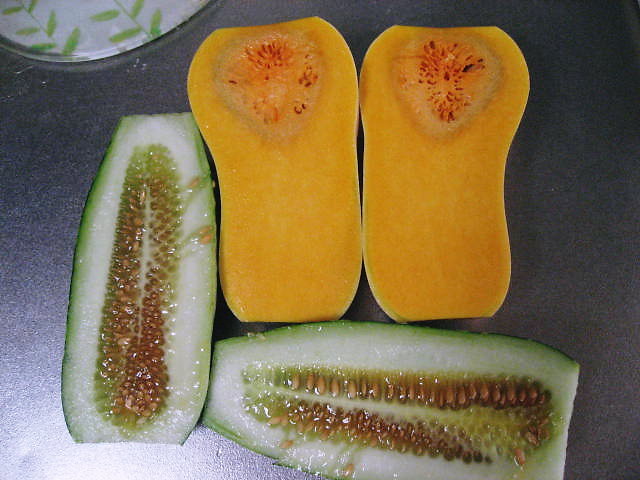 a0149240_12264086.jpg