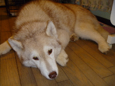 e0121548_14444512.jpg