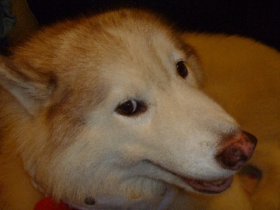 e0121548_14502272.jpg