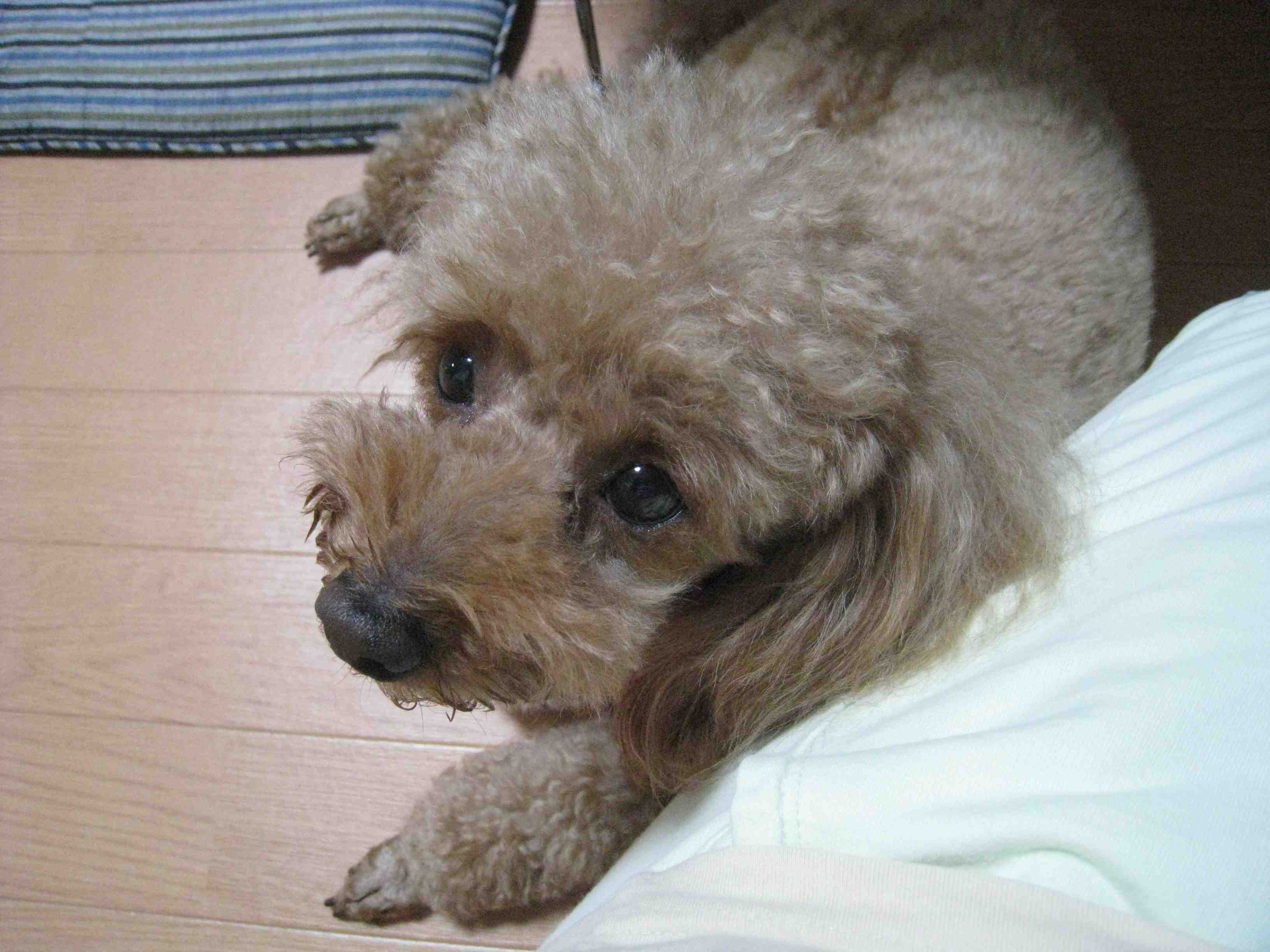 f0233356_2134547.jpg