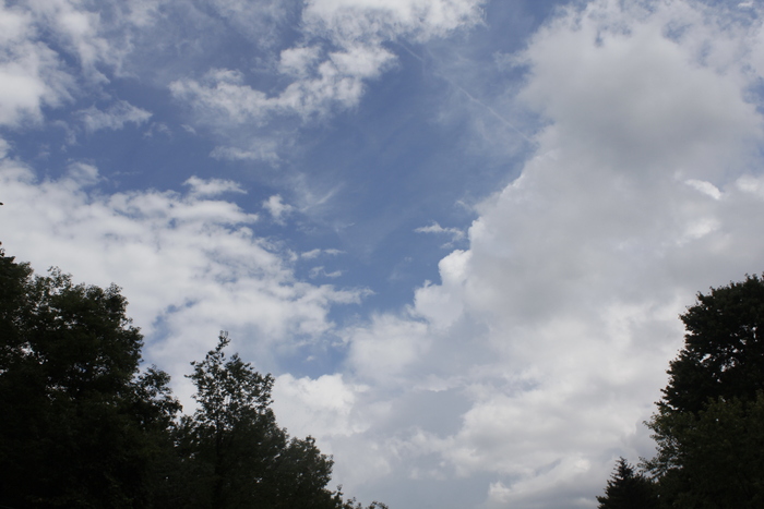 a0219557_951464.jpg