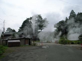 a0163259_793535.jpg