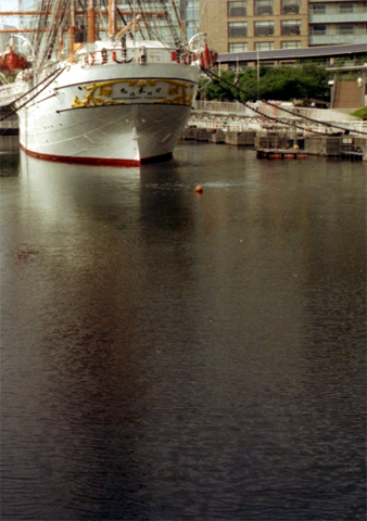 b0157961_21324022.jpg