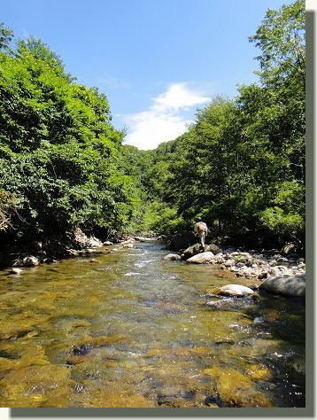 f0224363_20573657.jpg