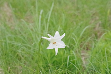 f0054677_740369.jpg