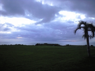 d0240983_213540.jpg