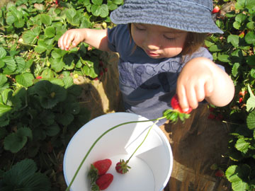 f0068883_13482861.jpg