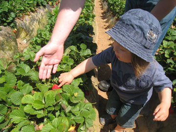 f0068883_1348291.jpg